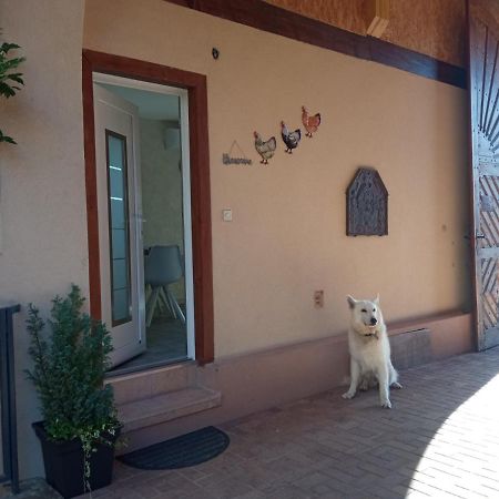 Gites Les Cocottes Zellwiller Esterno foto