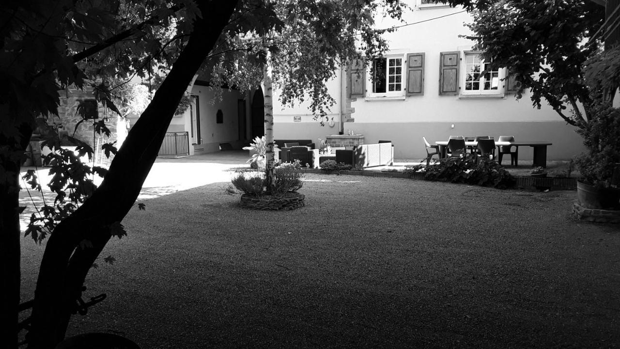 Gites Les Cocottes Zellwiller Esterno foto