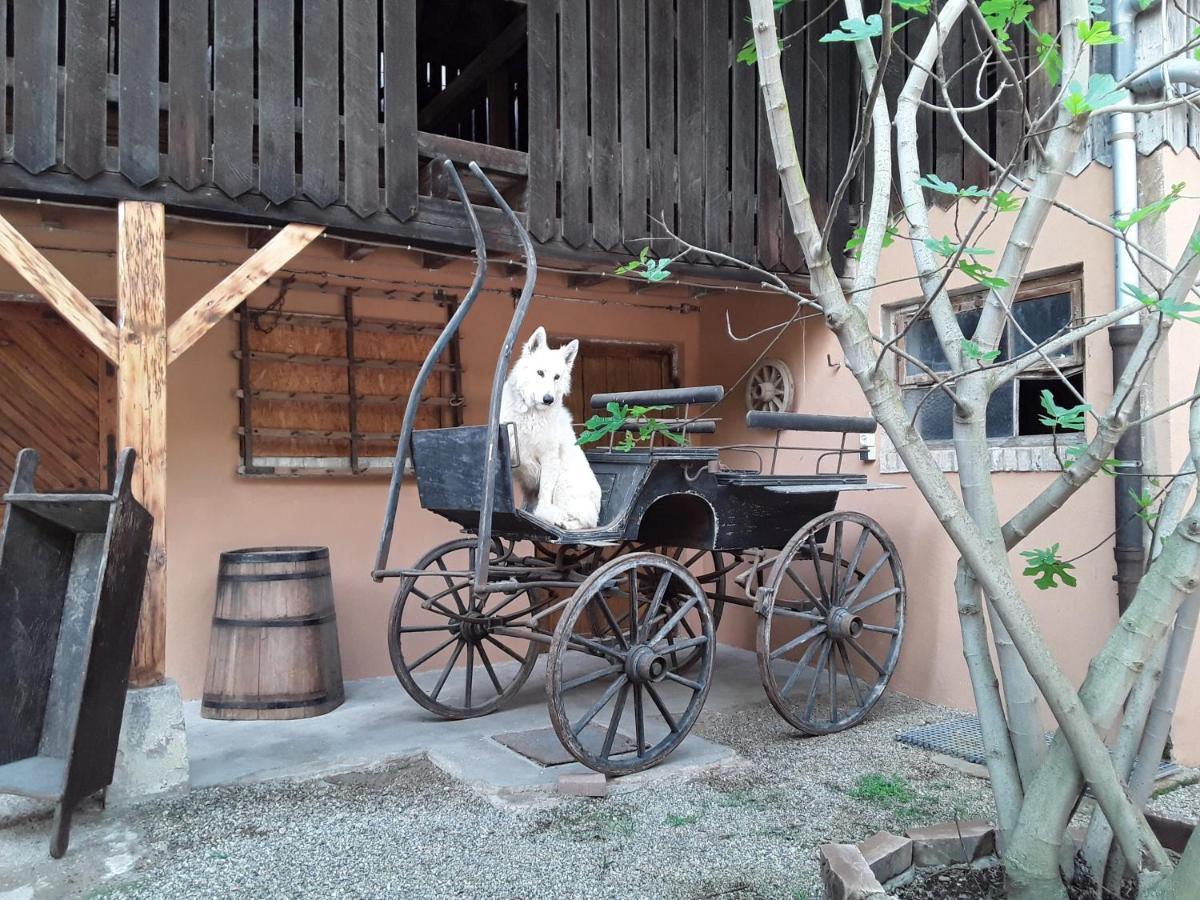 Gites Les Cocottes Zellwiller Esterno foto