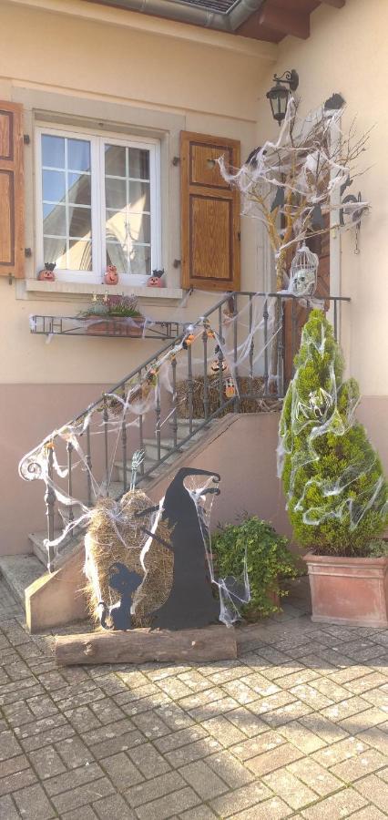 Gites Les Cocottes Zellwiller Esterno foto